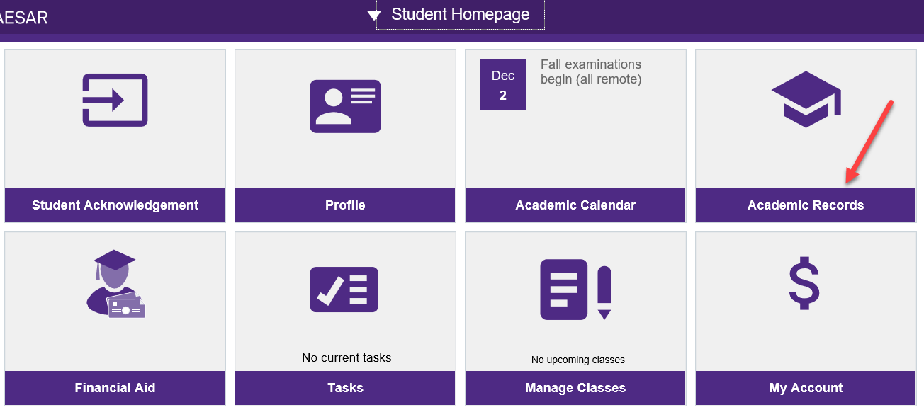 Click on Academics Records